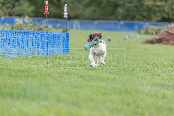 Osberton 5th October 2025-285