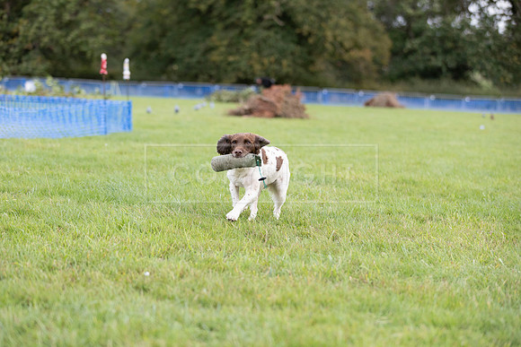 Osberton 5th October 2025-289