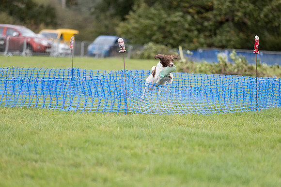 Osberton 5th October 2025-290