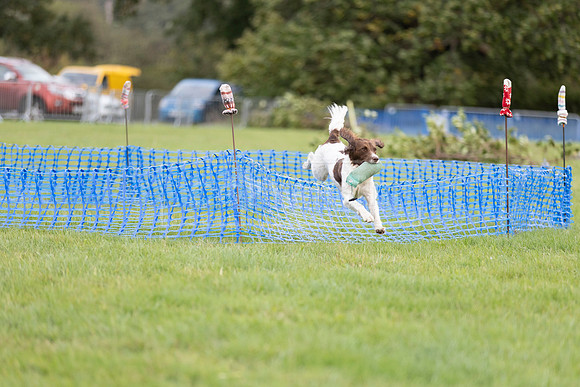 Osberton 5th October 2025-291