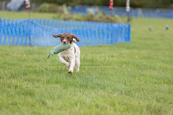 Osberton 5th October 2025-292