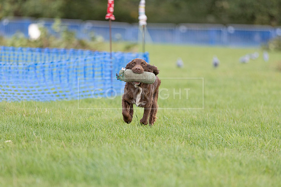 Osberton 5th October 2025-294