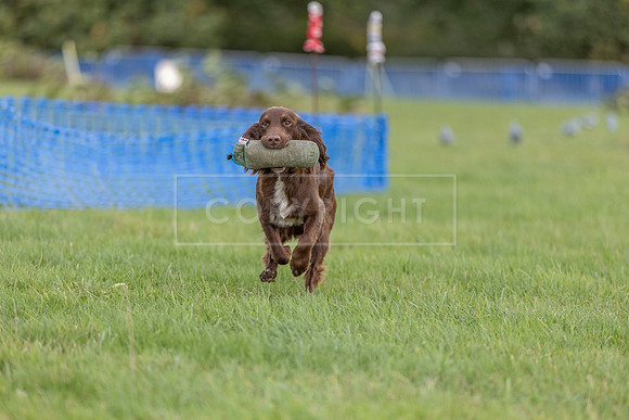 Osberton 5th October 2025-295