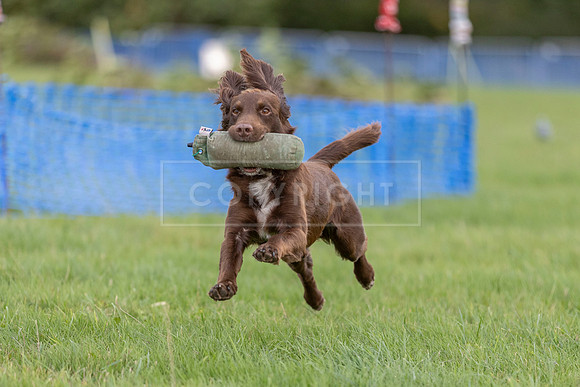 Osberton 5th October 2025-296