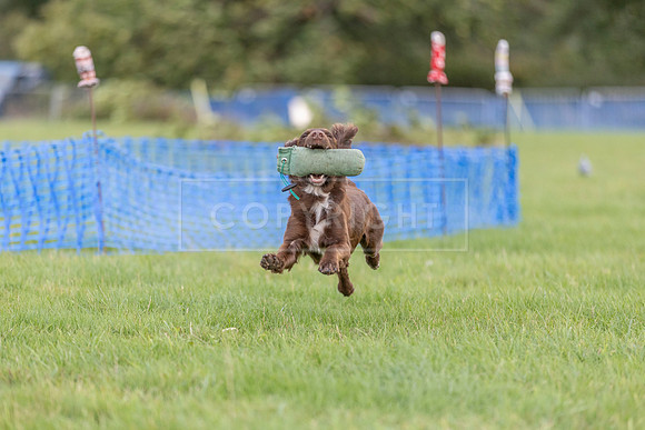 Osberton 5th October 2025-300