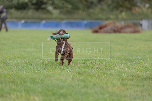Osberton 5th October 2025-302