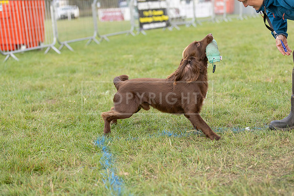 Osberton 5th October 2025-304