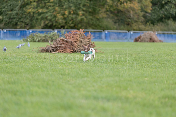 Osberton 5th October 2025-310