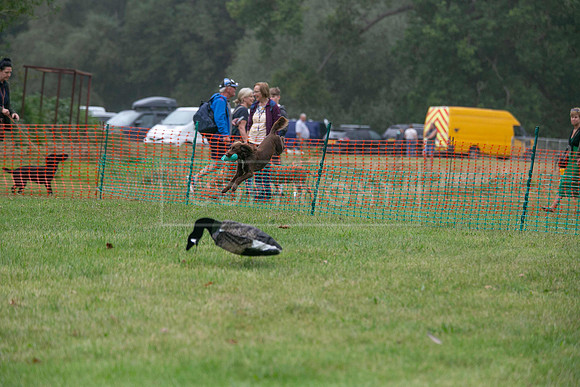Jixenwell Scurry Challenge Final 2024-0211