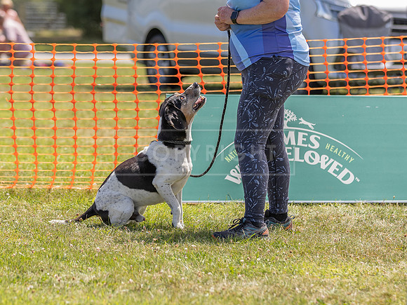 Scruffts heat @ Wadebridge 13th July 2025-105