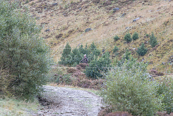 Upperwood 10th October 2025-10