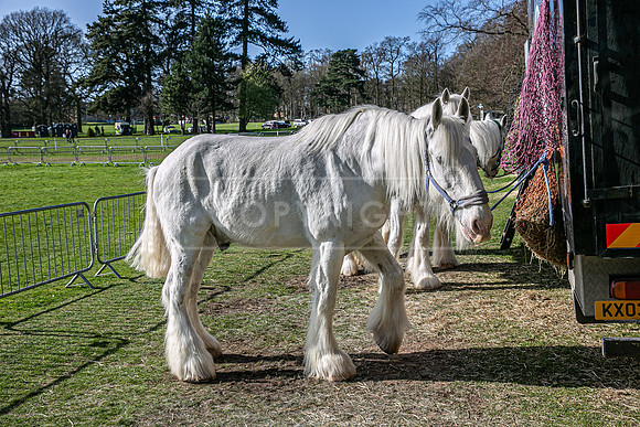 Thoresby Sun 30th Mar 25-282