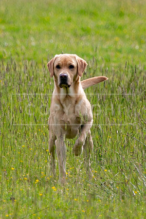 Int Retriever Day 1 -064