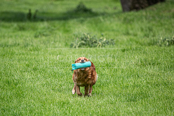 Int Retriever Day 1 -207