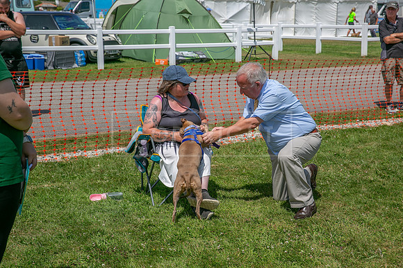 Scruffts heat @ Wadebridge 13th July 2025-101