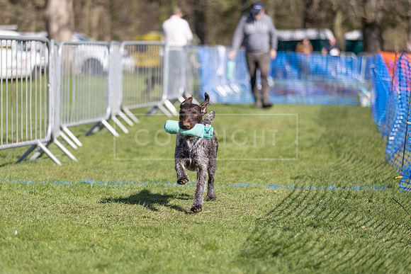 Thoresby Sun 30th Mar 25-265