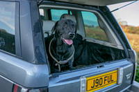 Bracken Hill 8th Nov 2025-3