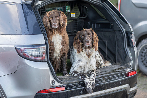 Bracken Hill 8th Nov 2025-2
