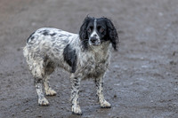 Bracken Hill 8th Nov 2025-5