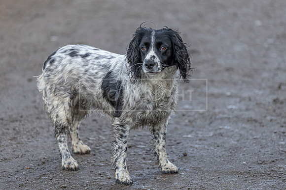 Bracken Hill 8th Nov 2025-5