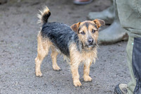 Bracken Hill 8th Nov 2025-12