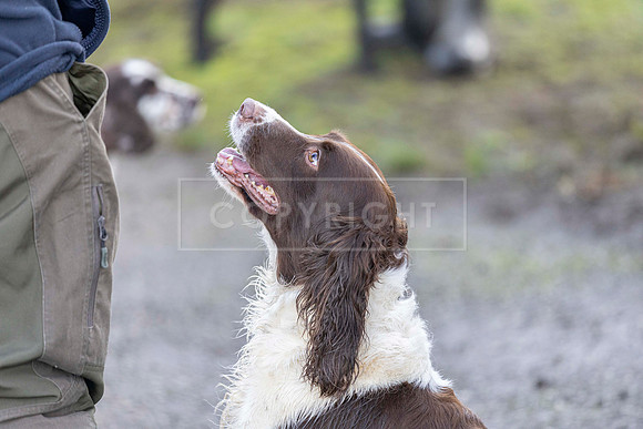 Bracken Hill 8th Nov 2025-11