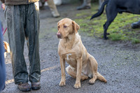 Bracken Hill 8th Nov 2025-16