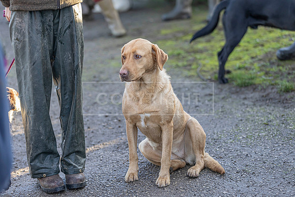 Bracken Hill 8th Nov 2025-16