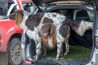 Bracken Hill 8th Nov 2025-20