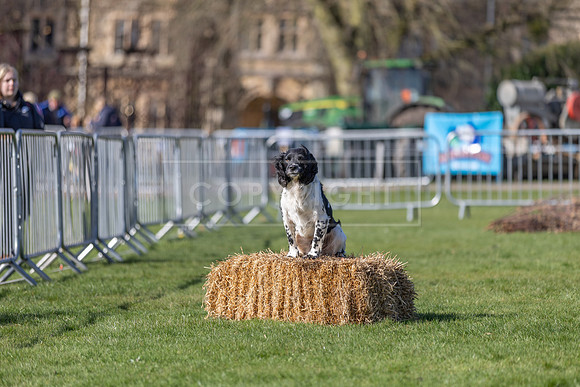 Thoresby Sun 30th Mar 25-036