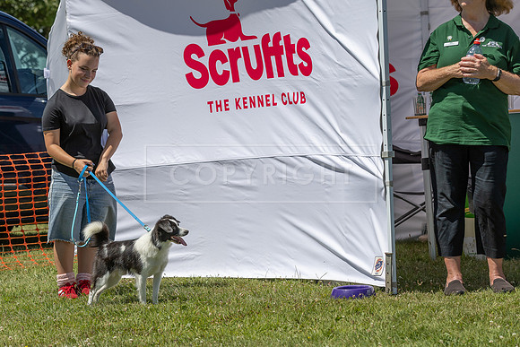 Scruffts heat @ Wadebridge 13th July 2025-31