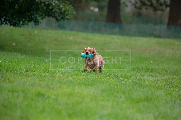 Jixenwell Scurry Challenge Final 2024-0384