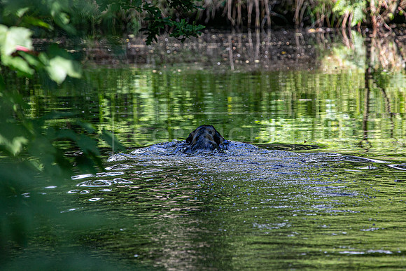 Int Retriever Day 1 -146