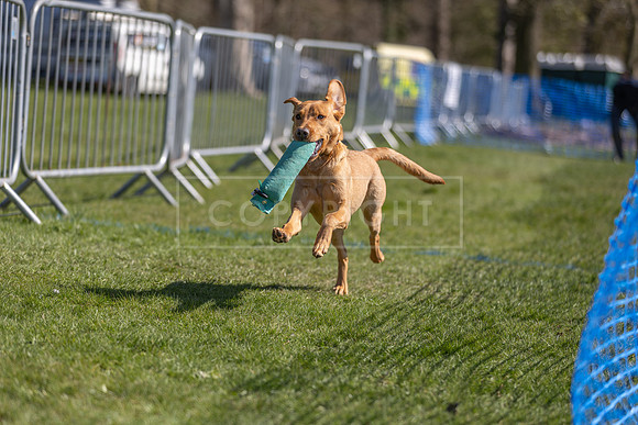 Thoresby Sun 30th Mar 25-135
