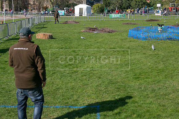 Thoresby Sun 30th Mar 25-033