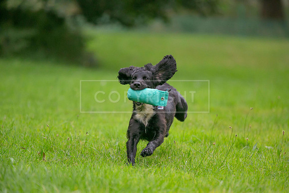 Jixenwell Scurry Challenge Final 2024-0258