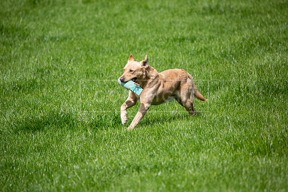 Int Retriever Day 1 -179