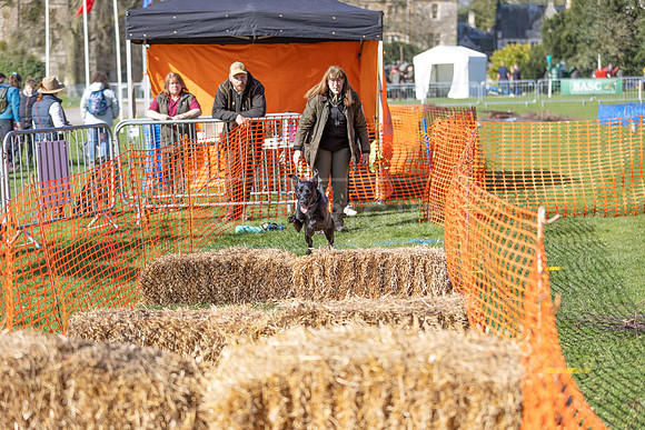 Thoresby Sun 30th Mar 25-023