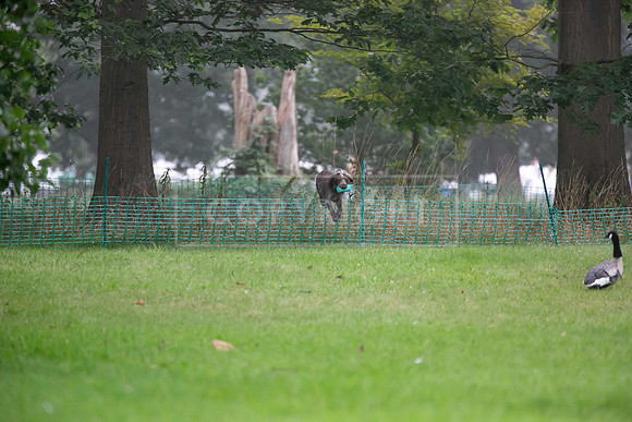 Jixenwell Scurry Challenge Final 2024-0085