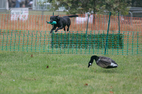 Jixenwell Scurry Challenge Final 2024-0138