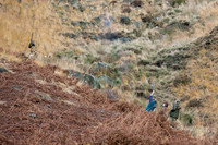 Upperwood 25th Nov-012