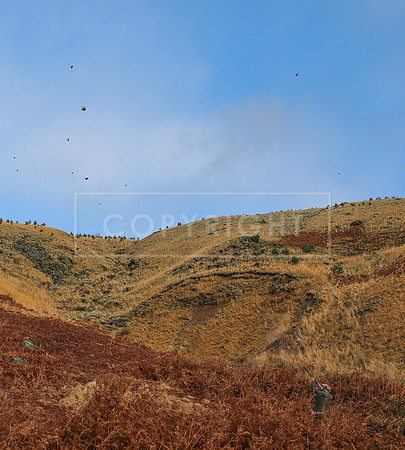 Upperwood 25th Nov-021
