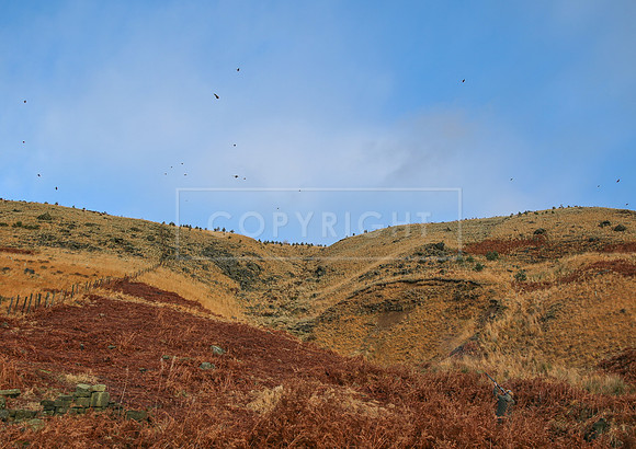 Upperwood 25th Nov-020