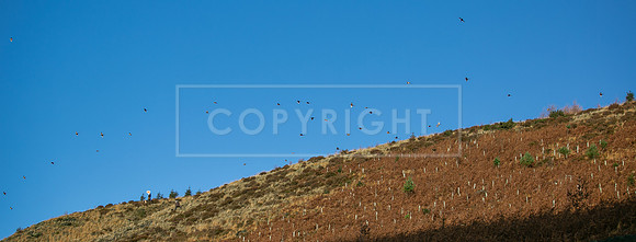 Upperwood 25th Nov-050
