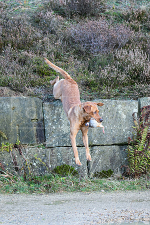 Upperwood 25th Nov-063