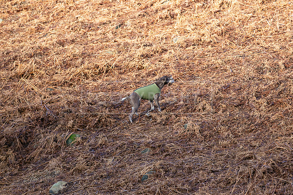 Upperwood 25th Nov-095