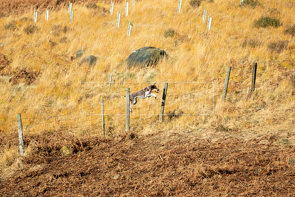 Upperwood 25th Nov-100