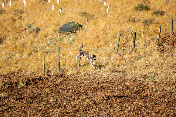 Upperwood 25th Nov-101