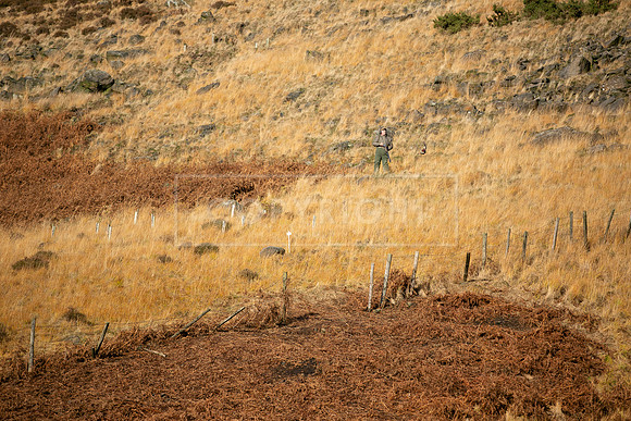 Upperwood 25th Nov-144