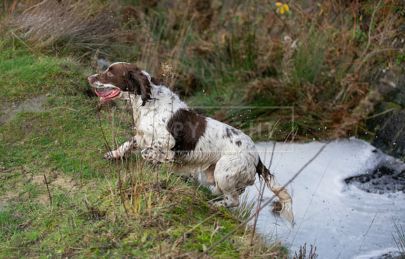 Upperwood 25th Nov-157